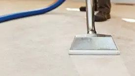 Carpet cleaning wand head gliding over a light carpet during hot-water extraction, Scottsdale, AZ.