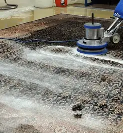 Professional rug cleaning with a rotary floor machine and shampoo foam, deep-cleaning an area rug Scottsdale, AZ.